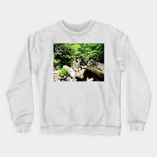 A Climb In The Woods Crewneck Sweatshirt